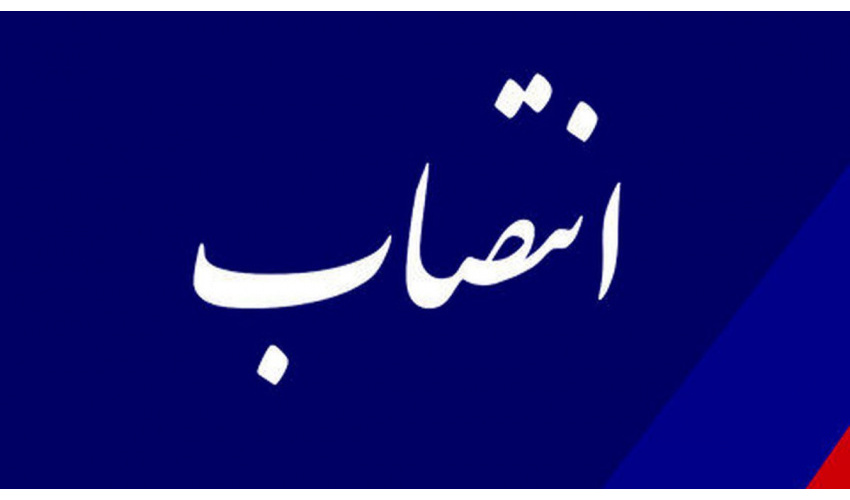 مدیر همکاریهای علمی بین المللی «سمت» منصوب شد